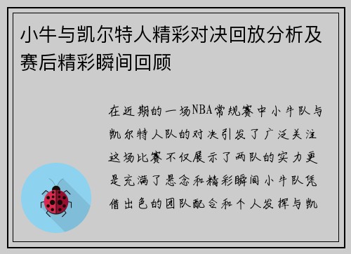 小牛与凯尔特人精彩对决回放分析及赛后精彩瞬间回顾