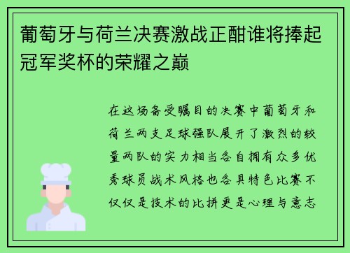 葡萄牙与荷兰决赛激战正酣谁将捧起冠军奖杯的荣耀之巅