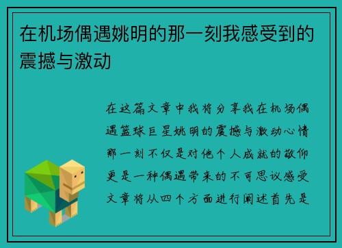在机场偶遇姚明的那一刻我感受到的震撼与激动